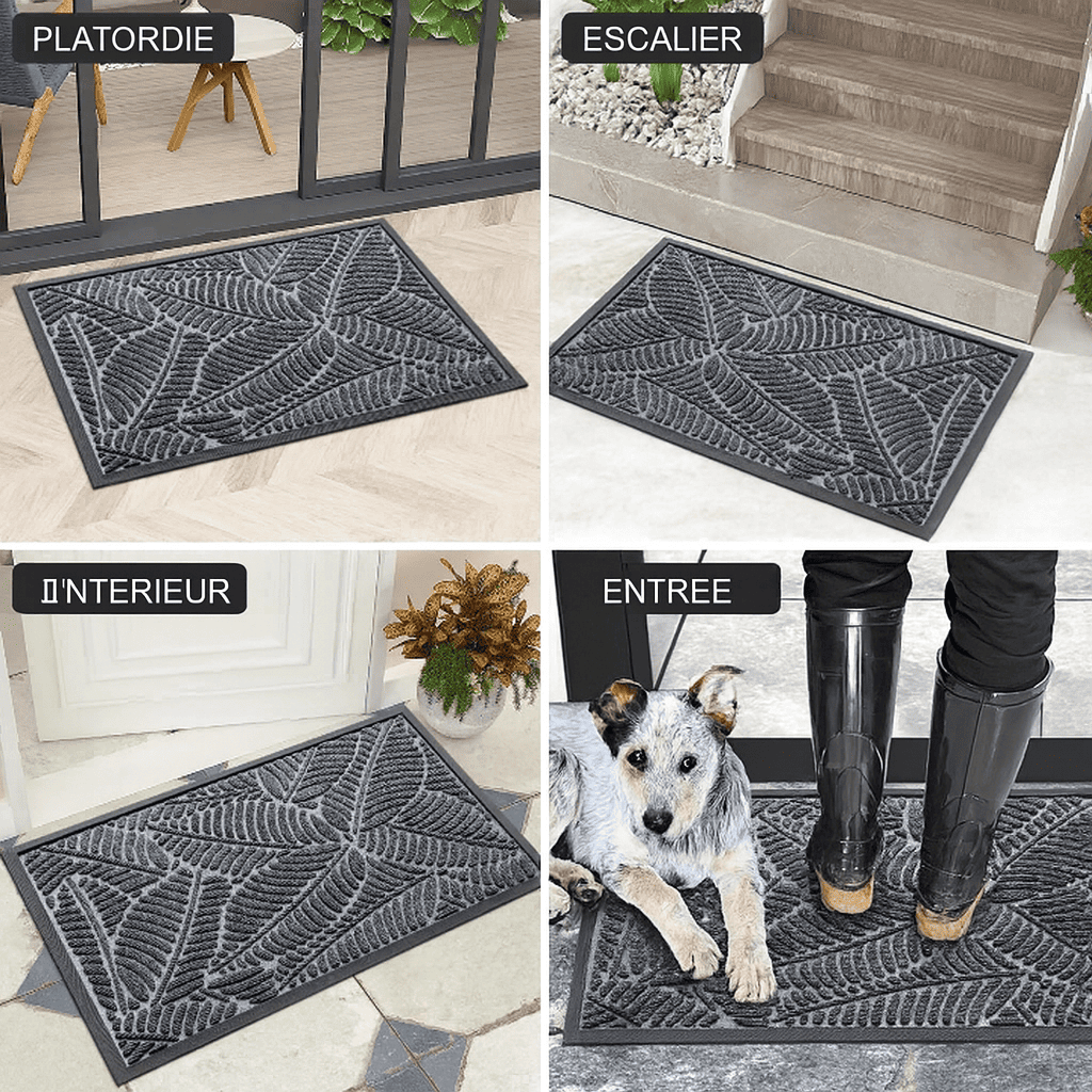 Tapis de porte exterieur