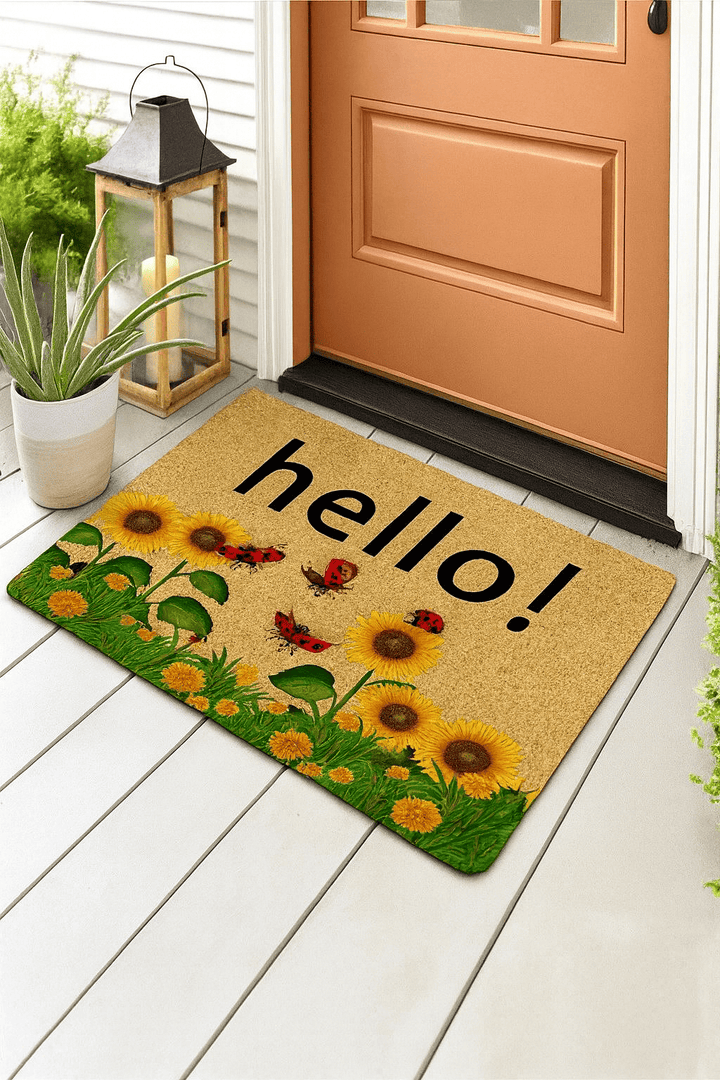 Tapis gratte pieds exterieur