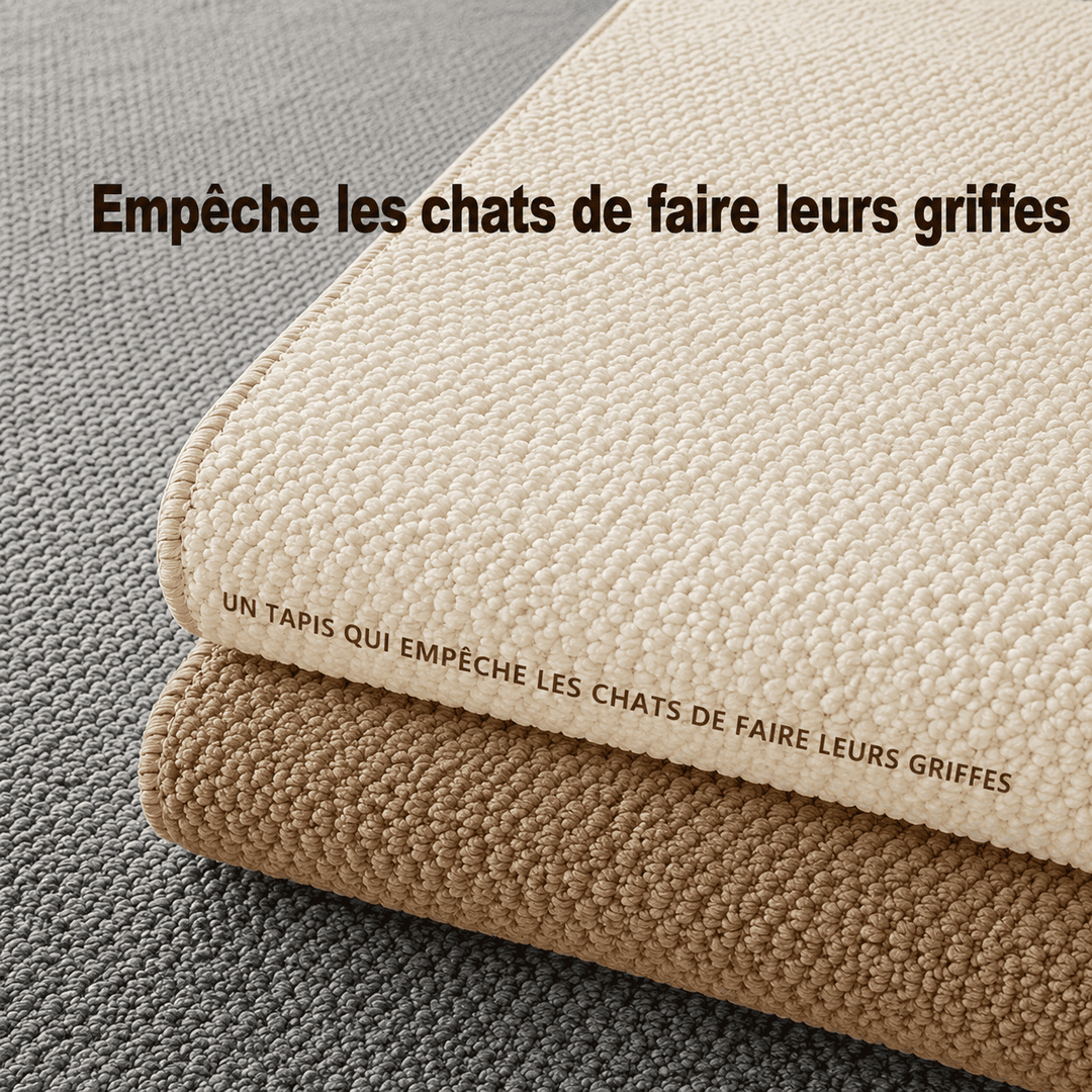 Tapis salon anti tache
