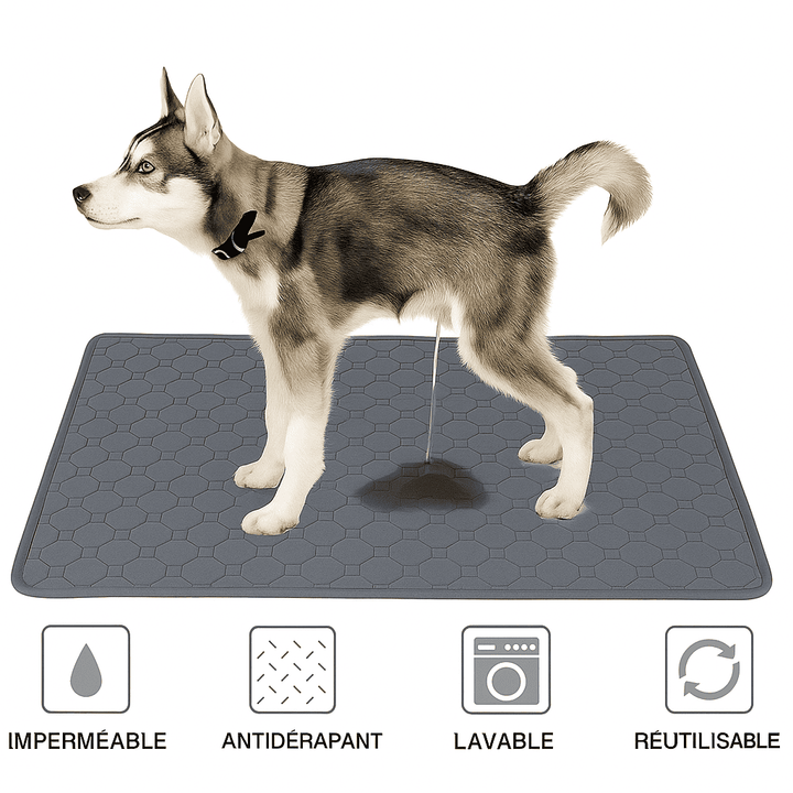 Tapis propreté pour chien