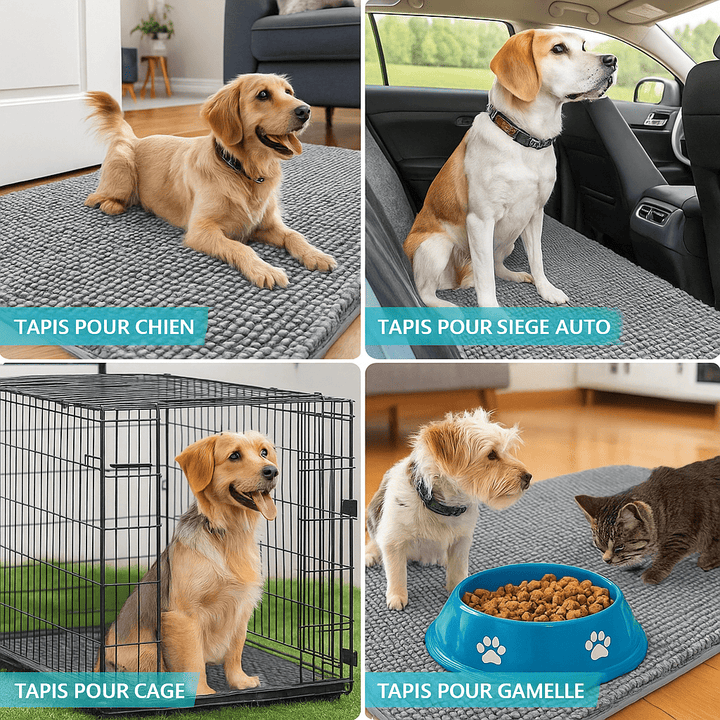 Tapis pour chien essuie pattes
