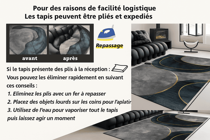 Tapis salon taille standard