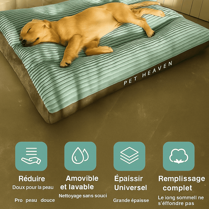 Tapis pour chien lavable