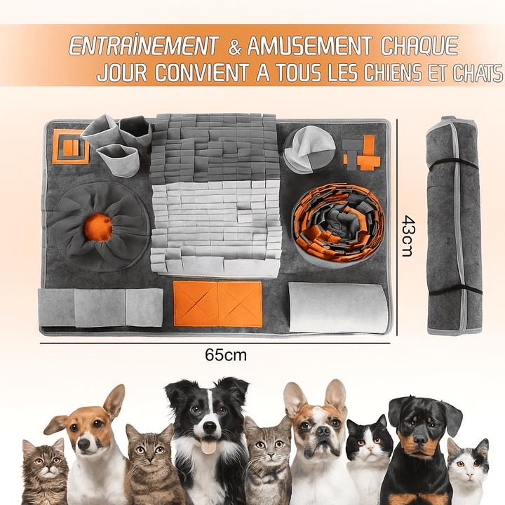 Tapis pour chien de fouille