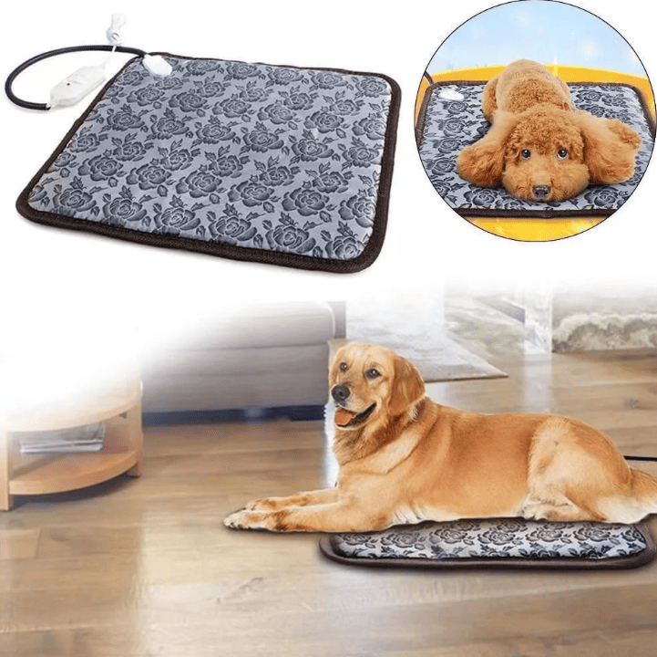 Tapis pour chien chauffant
