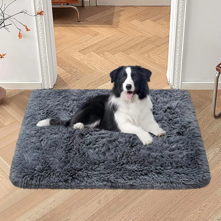 Tapis pour chien petit