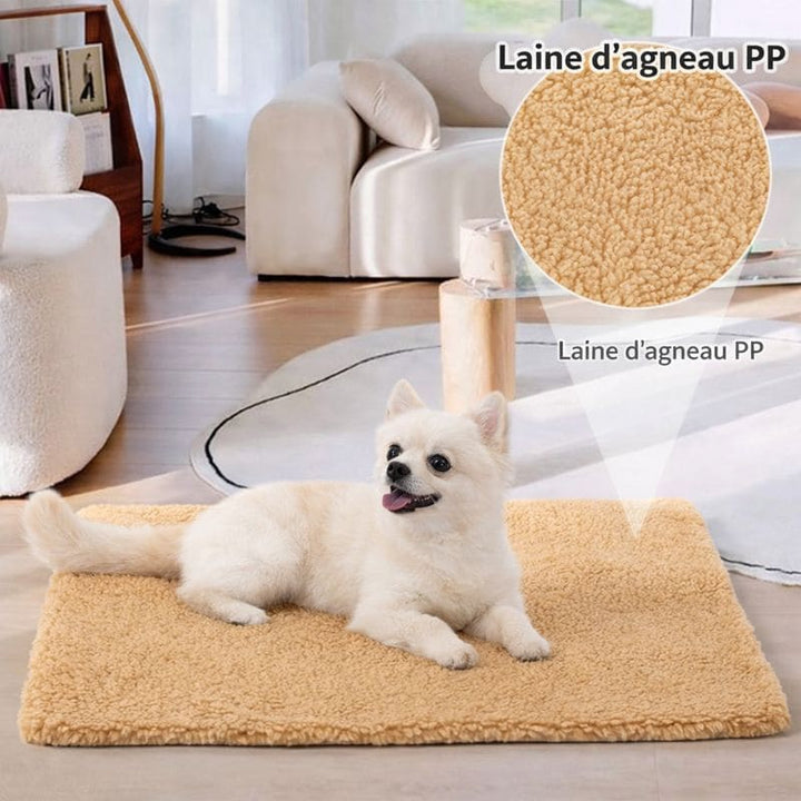 Tapis pour chien chaud