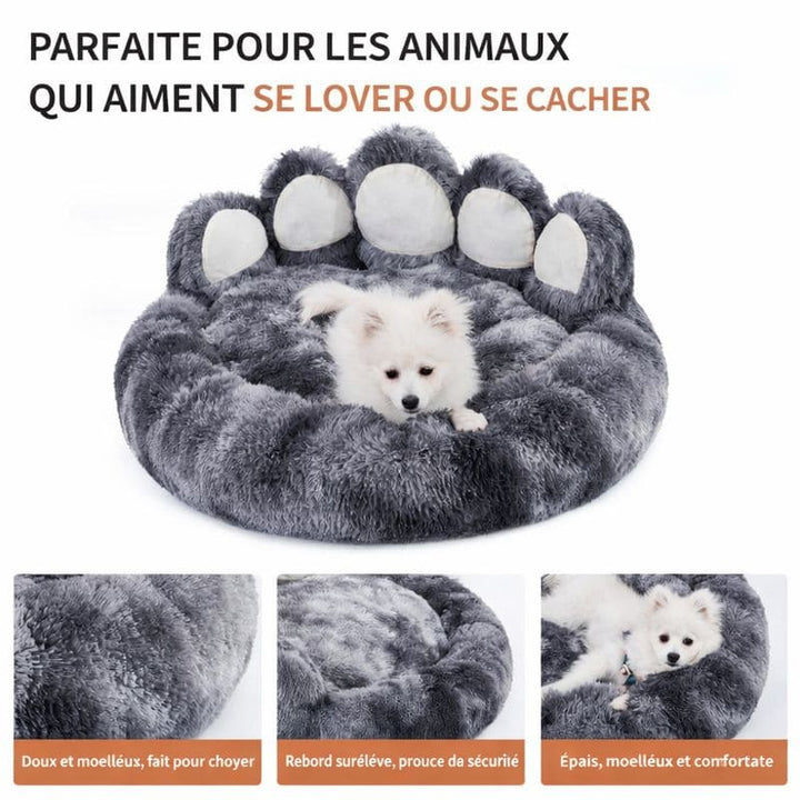 Tapis pour chien douillet