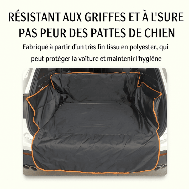 Tapis pour chien coffre