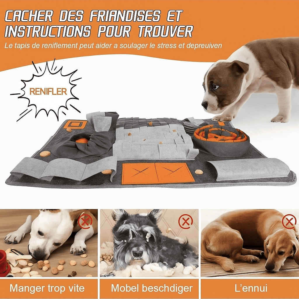 Tapis pour chien de fouille