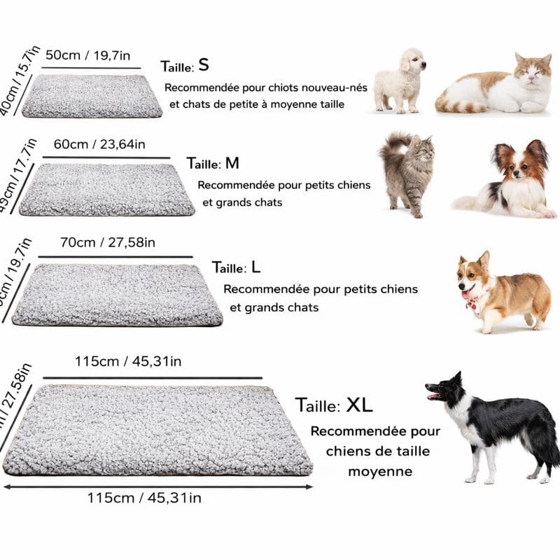 Tapis pour chien chaud