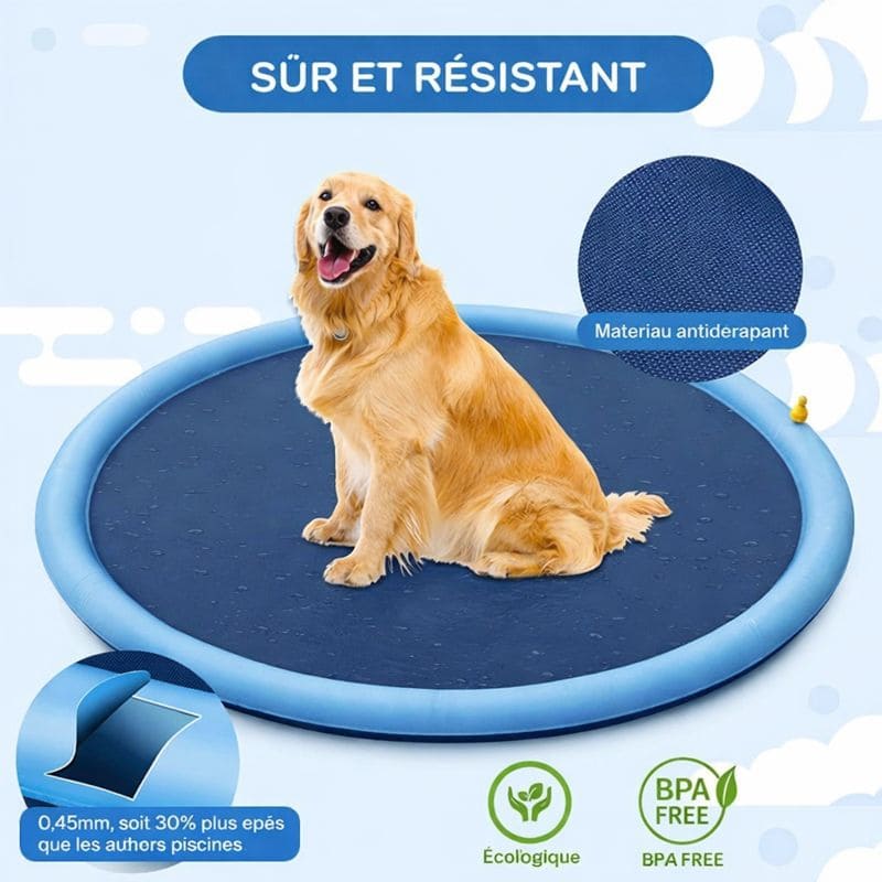 Tapis pour chien d'arrosage