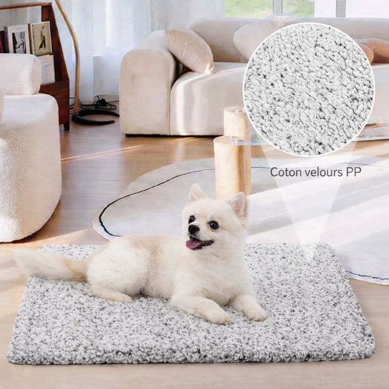 Tapis pour chien chaud