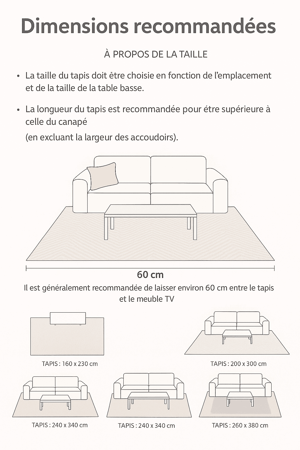  Infographie illustrant les dimensions recommandées pour placer un grand tapis de salon en fonction de l’agencement du mobilier, avec visuel réaliste du tapis rectangulaire clair sous un canapé moderne.