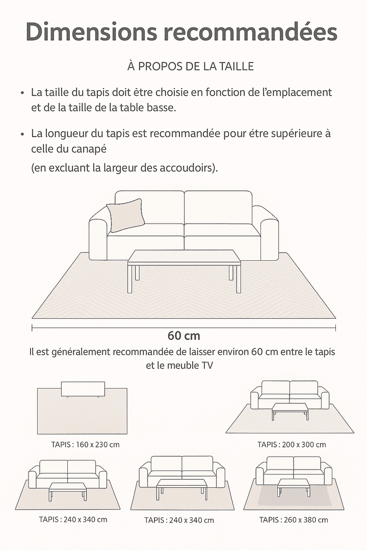  Infographie illustrant les dimensions recommandées pour placer un grand tapis de salon en fonction de l’agencement du mobilier, avec visuel réaliste du tapis rectangulaire clair sous un canapé moderne.