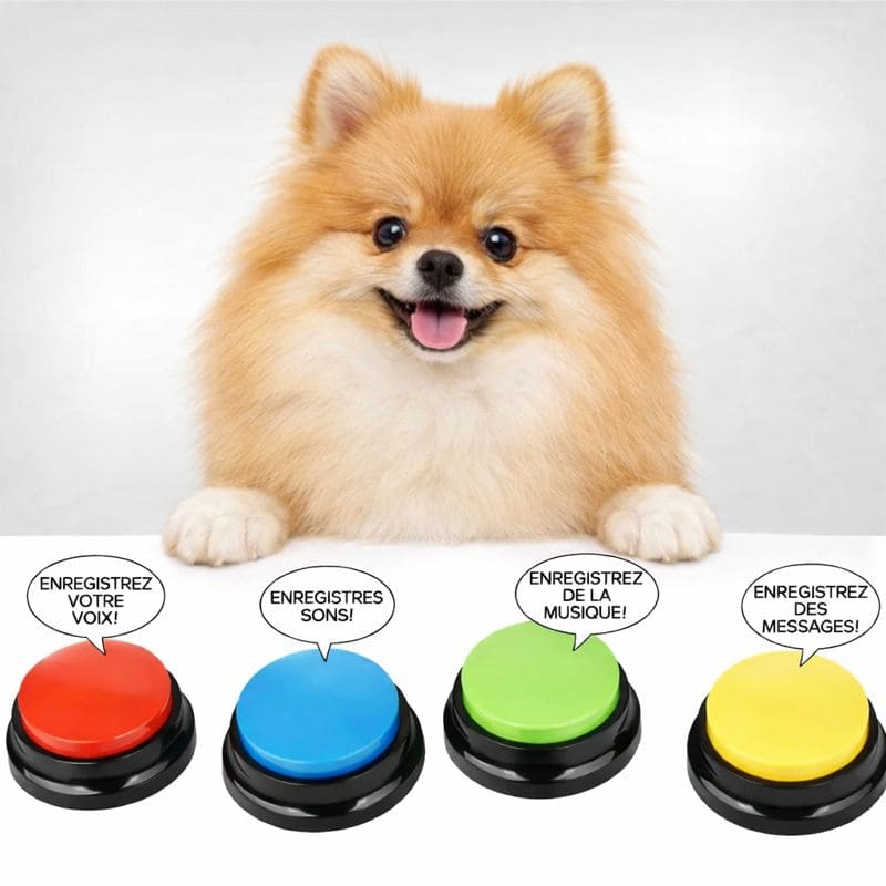 Tapis pour chien communication