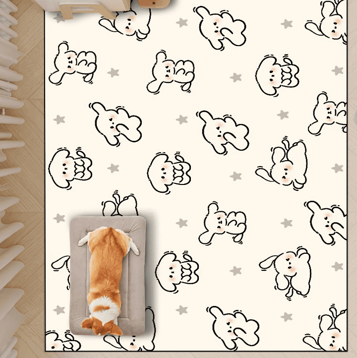 Tapis pour chien anti poil