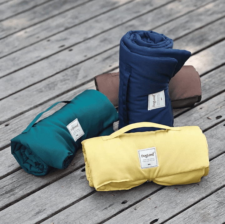 Tapis exterieur chien