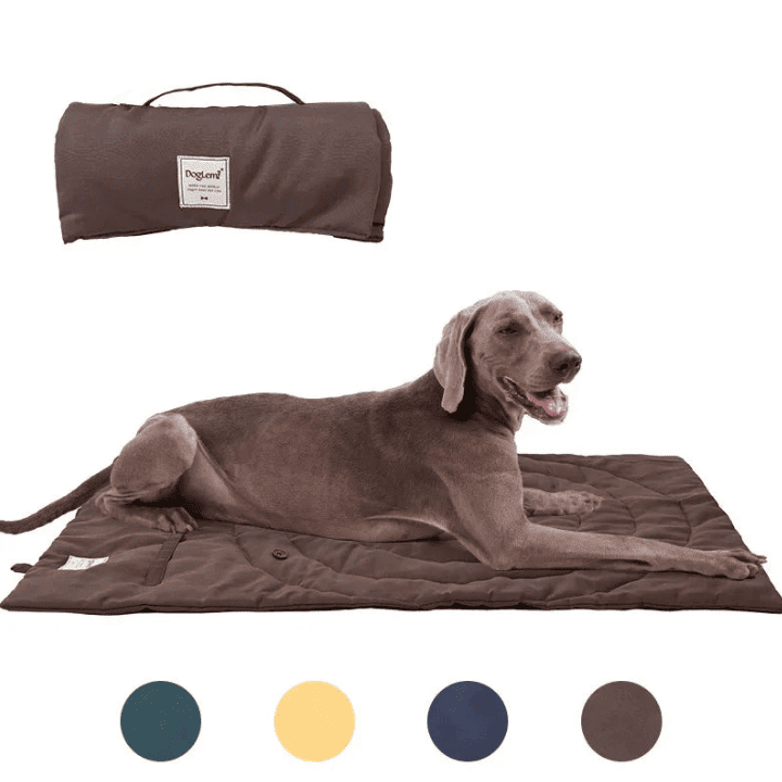 Tapis exterieur chien