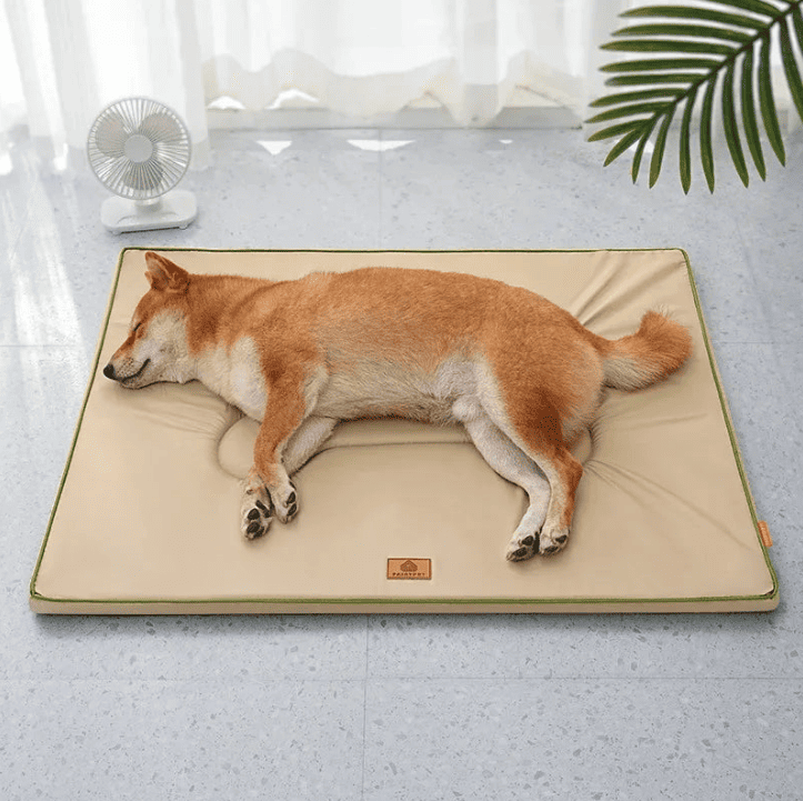 Tapis pour chien anti escarre