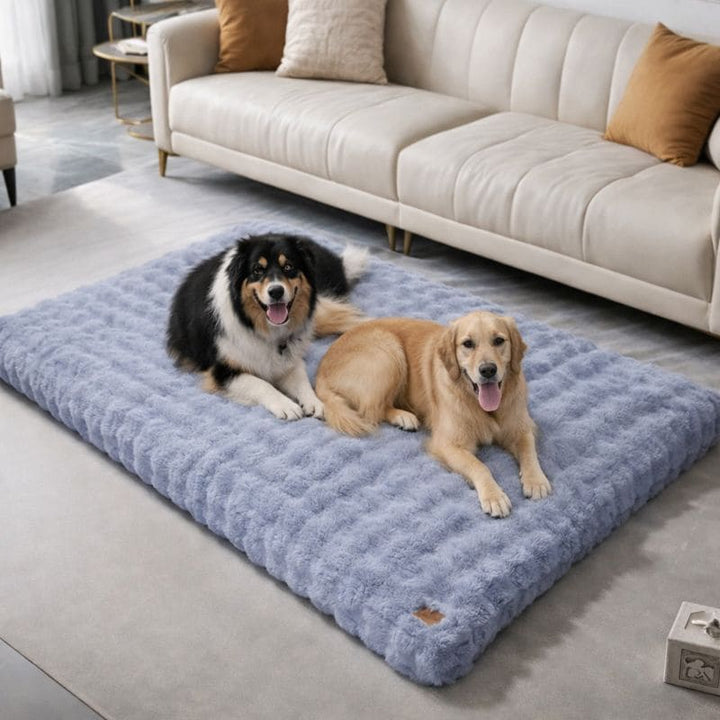 Tapis pour chien anti stress