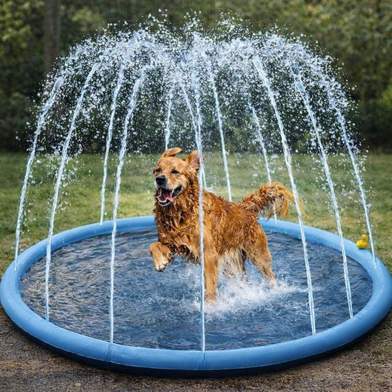 Tapis pour chien d'arrosage