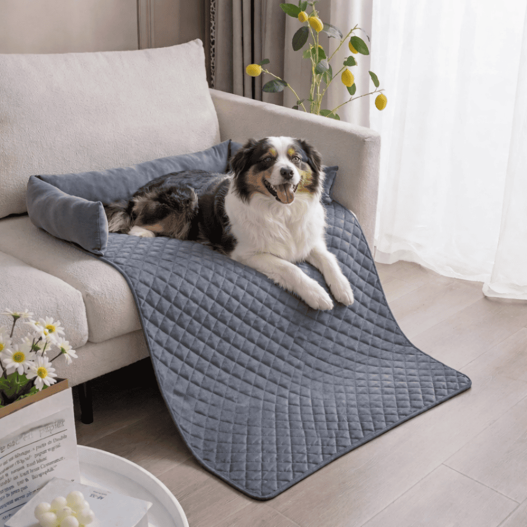 Tapis pour chien canapé