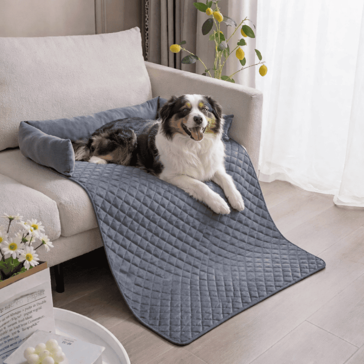 Tapis pour chien canapé