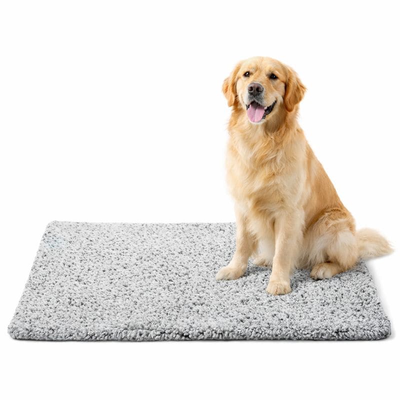 Tapis pour chien chaud