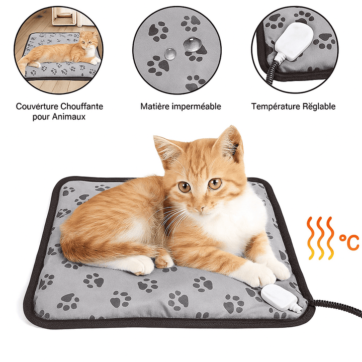 Tapis pour chien chauffant