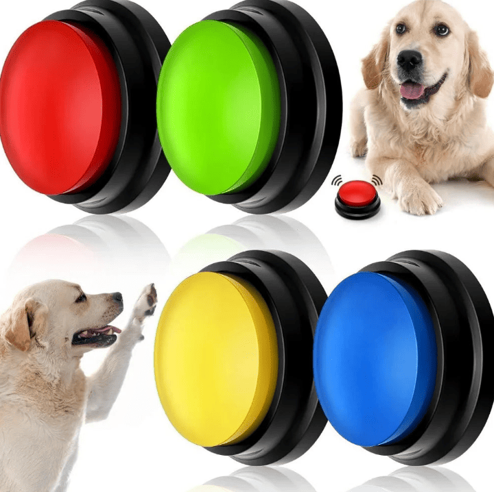 Tapis pour chien communication