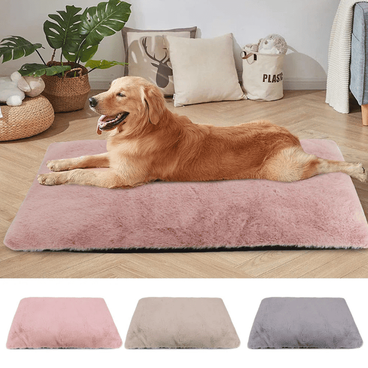 Tapis pour chien confort