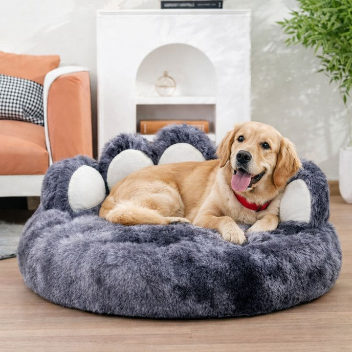 Tapis pour chien douillet