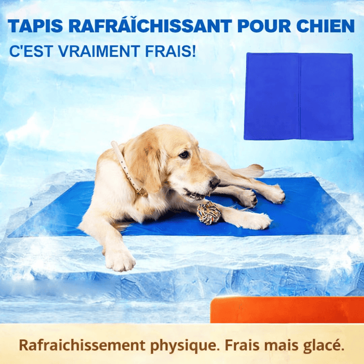 Tapis pour chien fraicheur