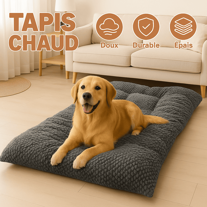 Tapis pour chien gros