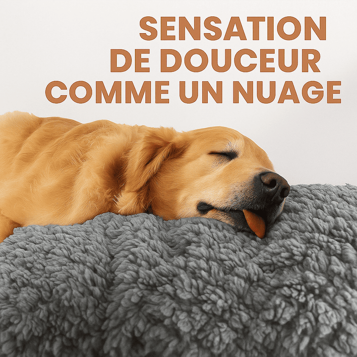 Tapis pour chien gros