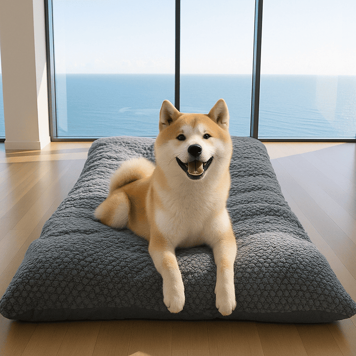Tapis pour chien gros