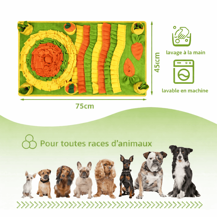 Tapis pour chien jeu 75x45 cm, lavable en machine ou à la main.