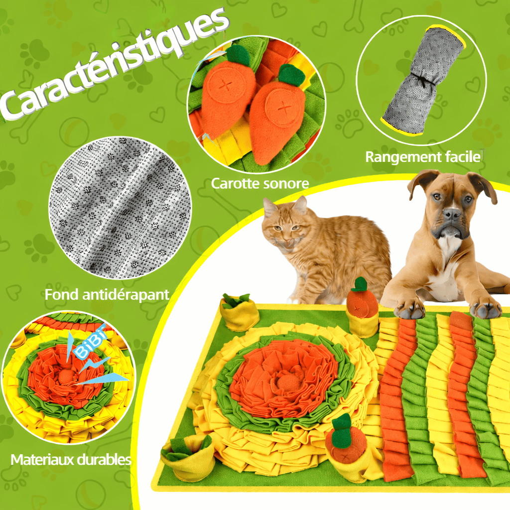 Caractéristiques du tapis pour chien jeu : fond antidérapant, rangement, éléments sonores.