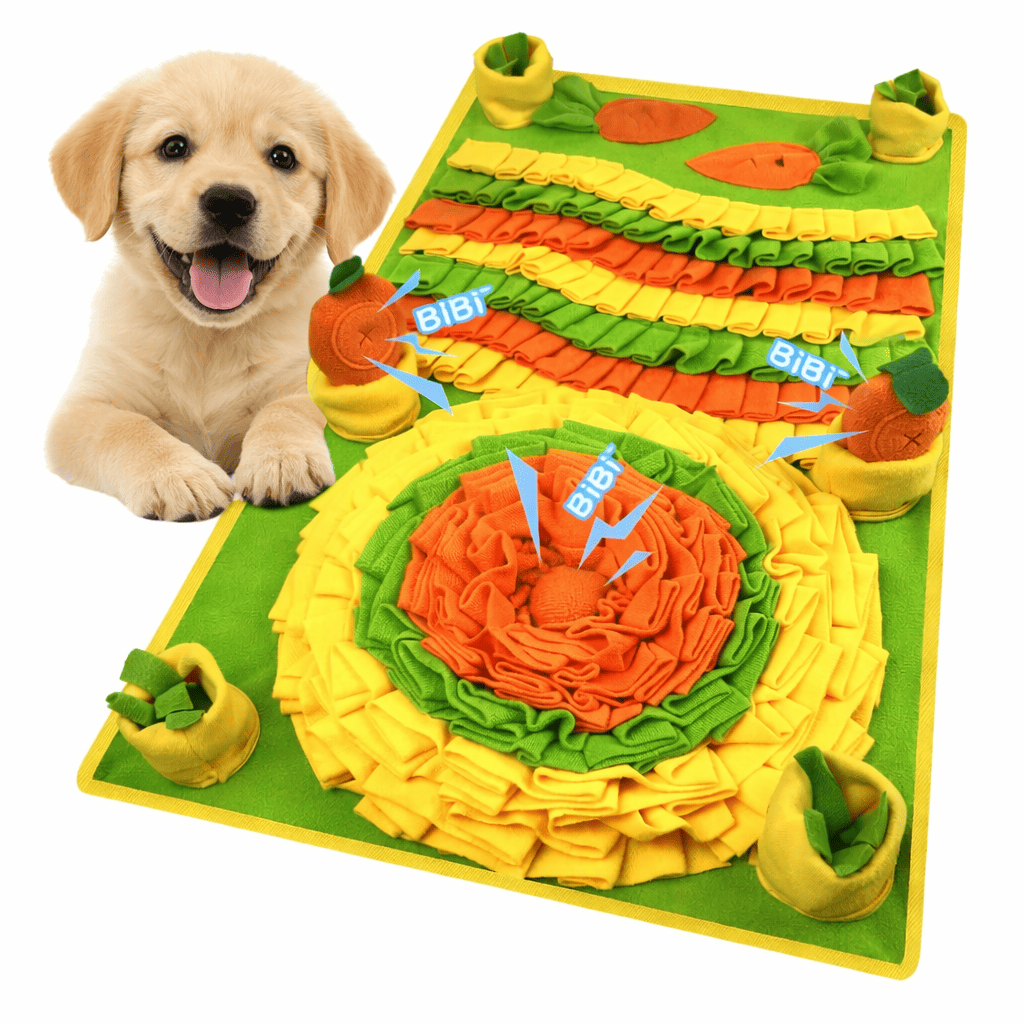 Tapis pour chien jeu