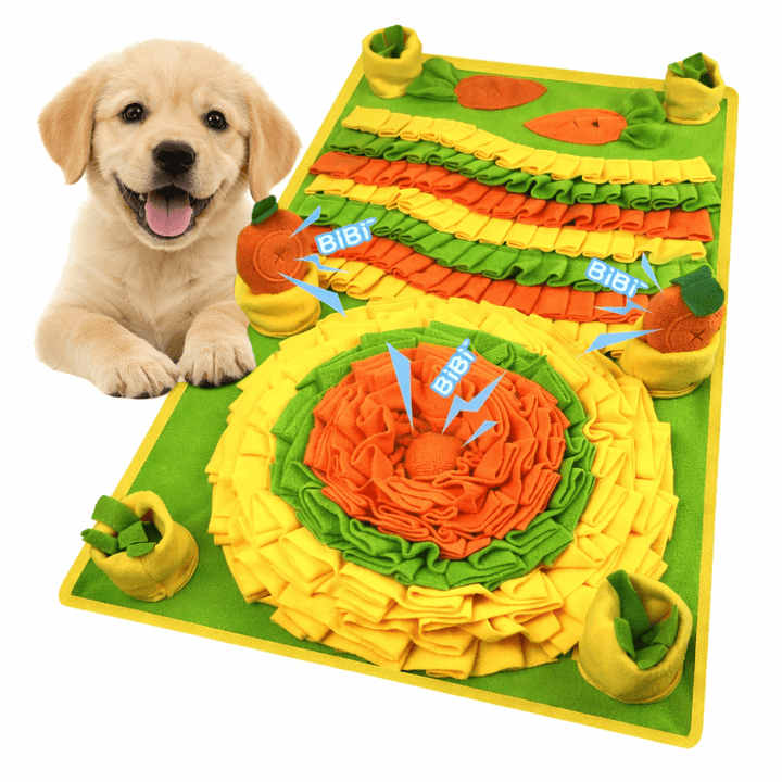 Tapis pour chien jeu