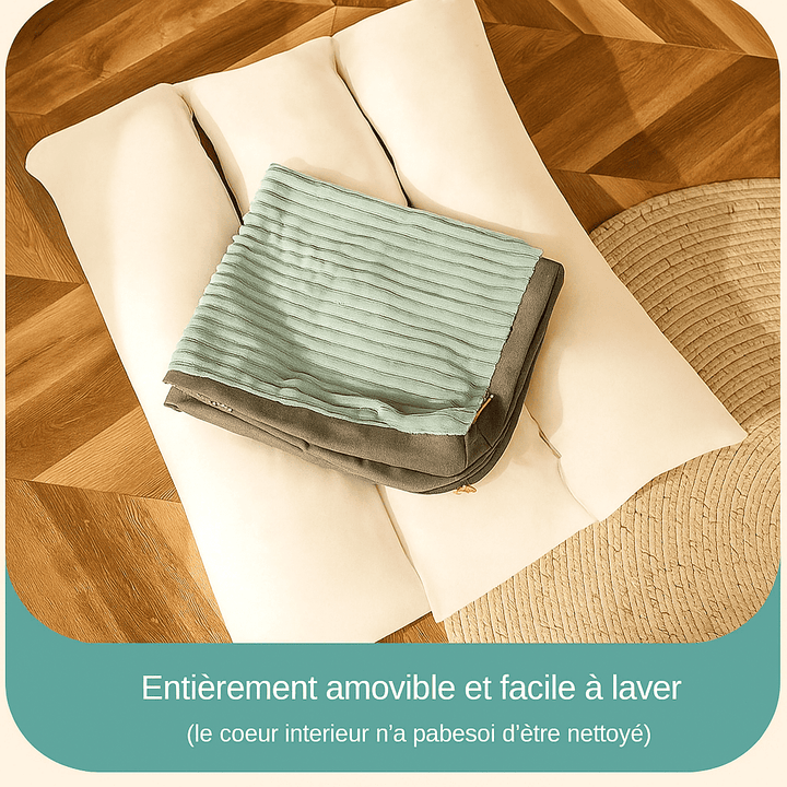 Tapis pour chien lavable