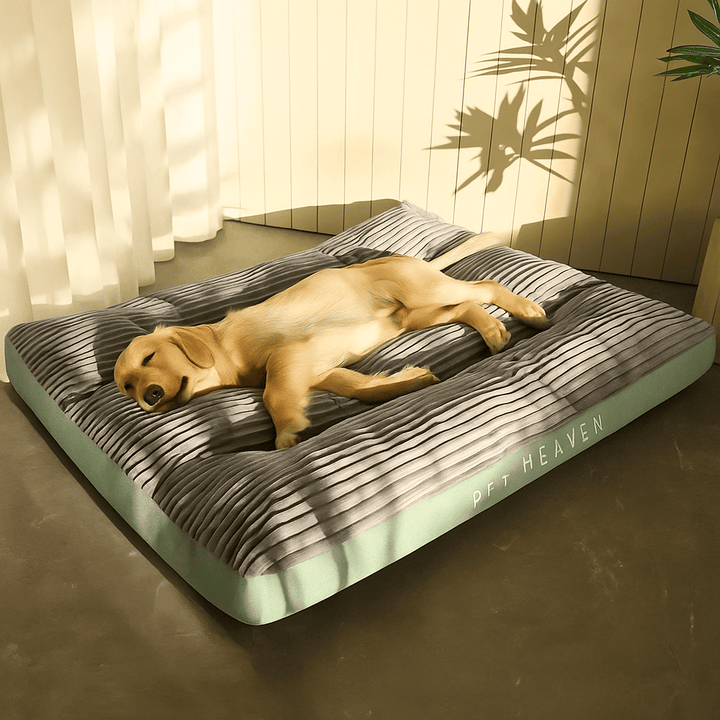 Tapis pour chien lavable