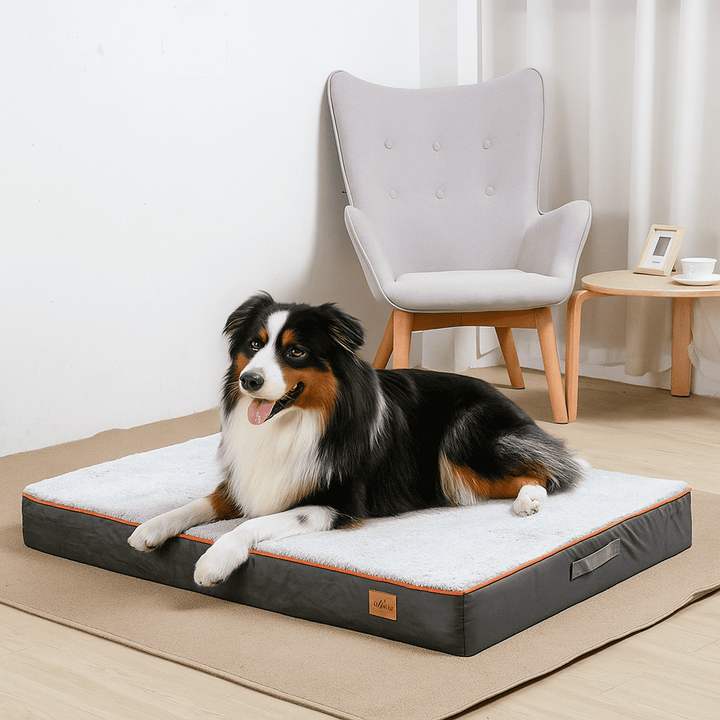 Tapis pour chien orthopedique