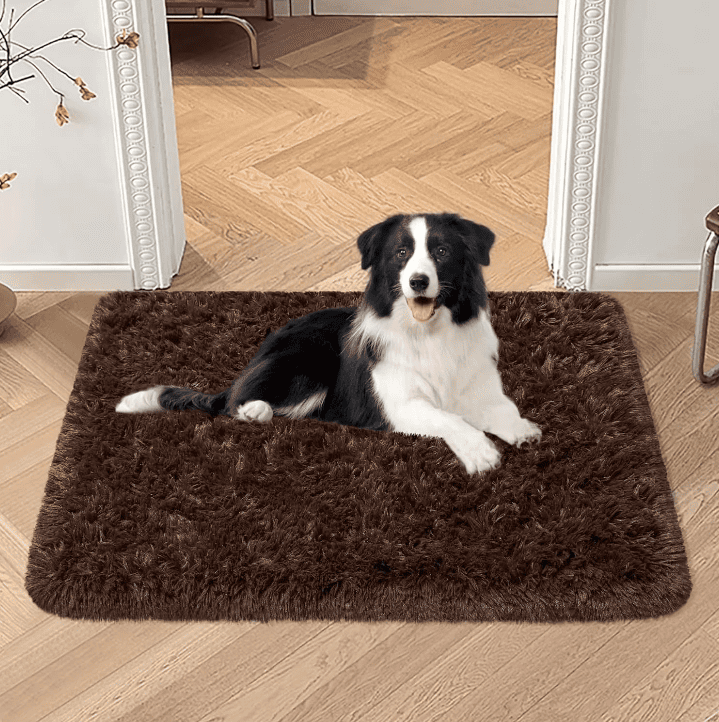 Tapis pour chien petit