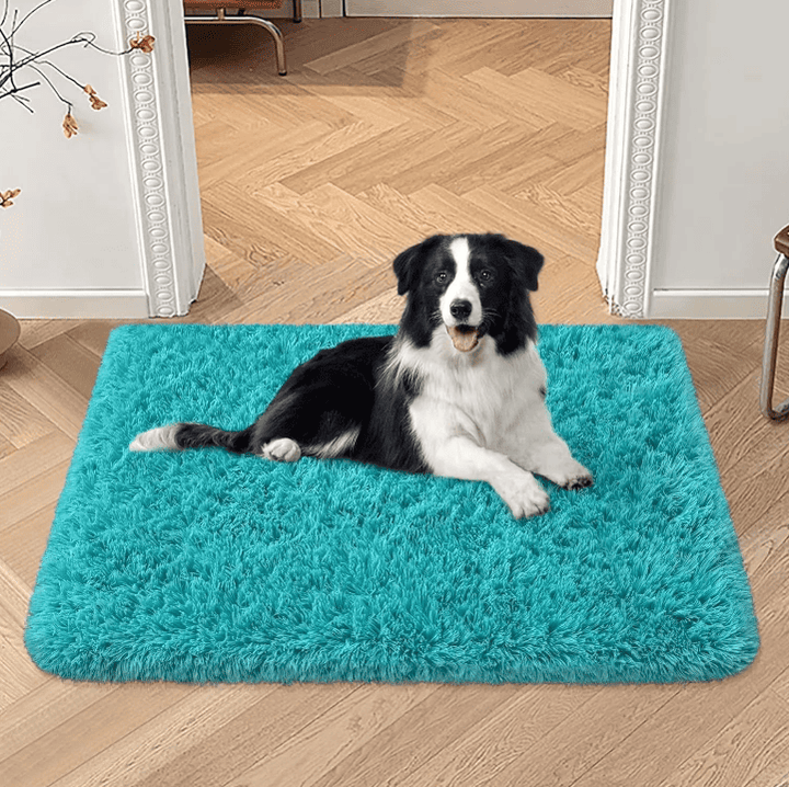 Tapis pour chien petit