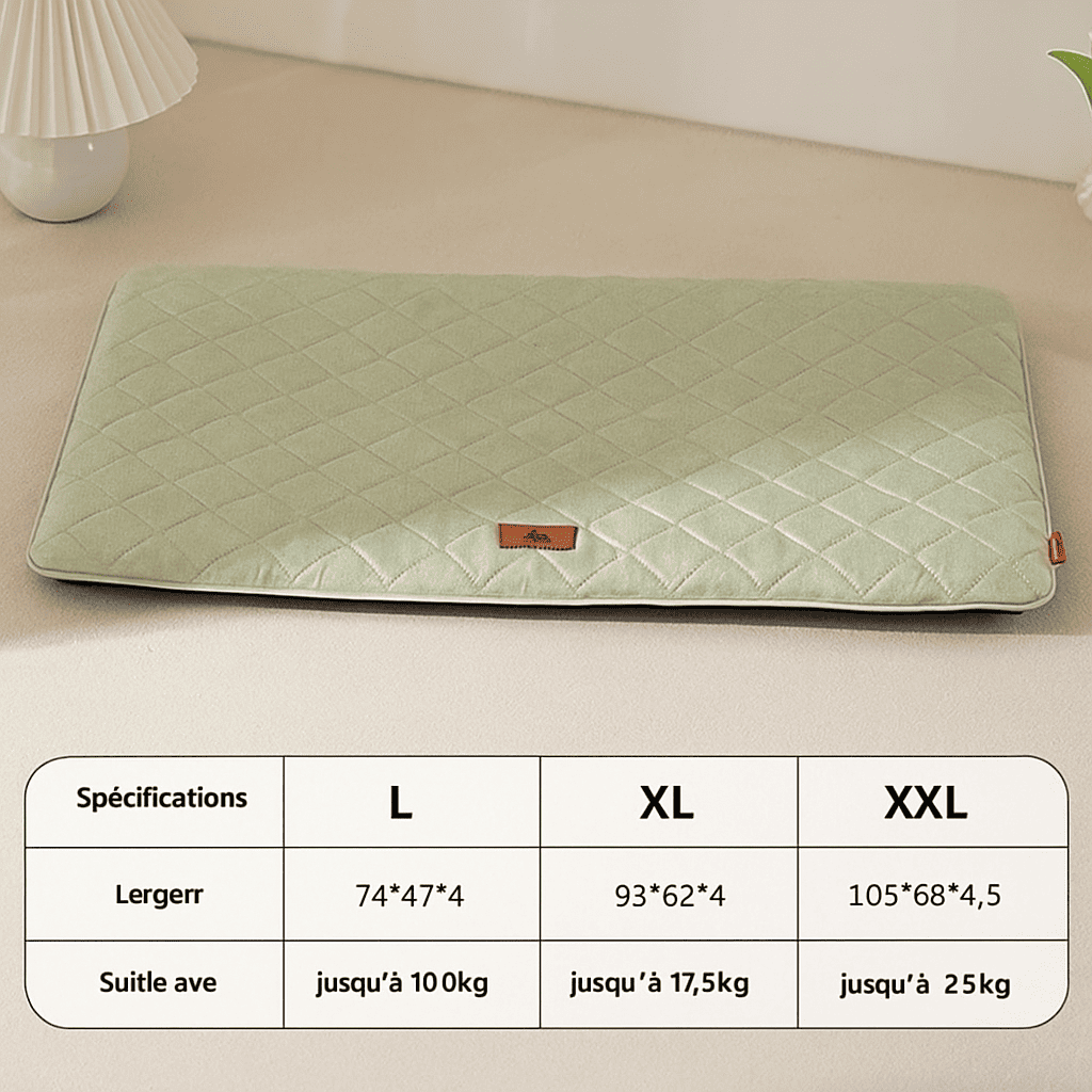 Tapis pour chien sol