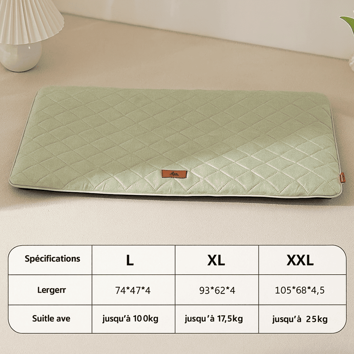 Tapis pour chien sol