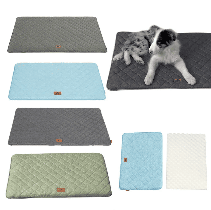 Tapis pour chien sol