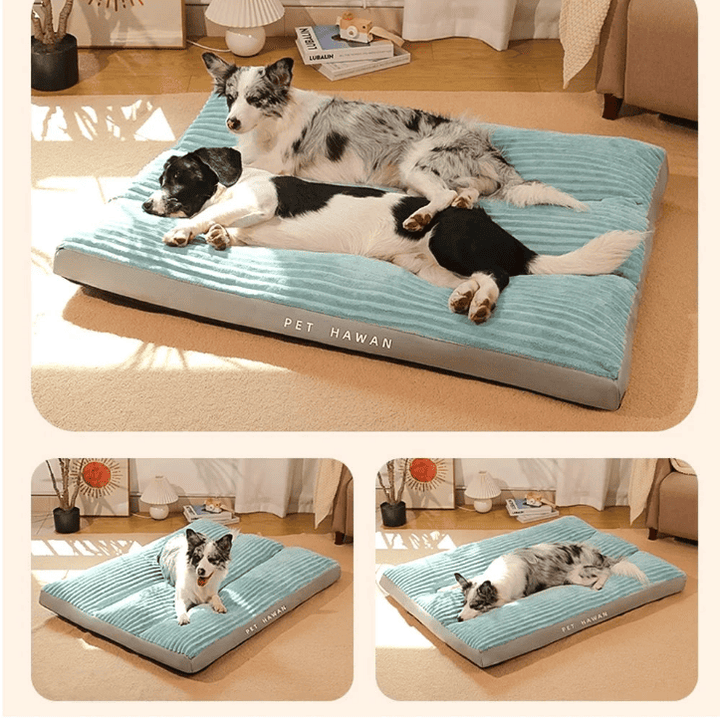 Tapis pour chien xl